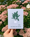A greeting card with a green and white illustration of a plant, held in a hand with a pink floral background.
