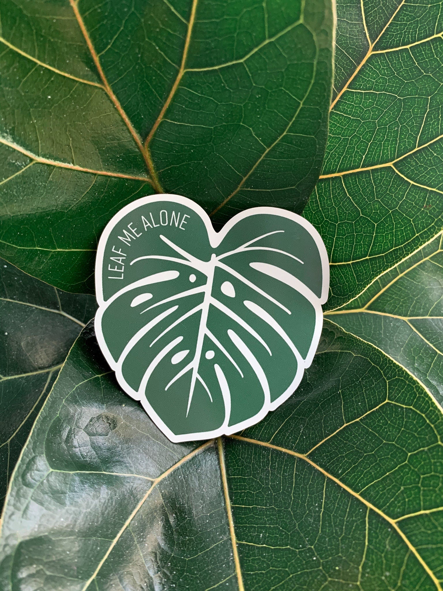 Leaf Me Alone Monstera Magnet