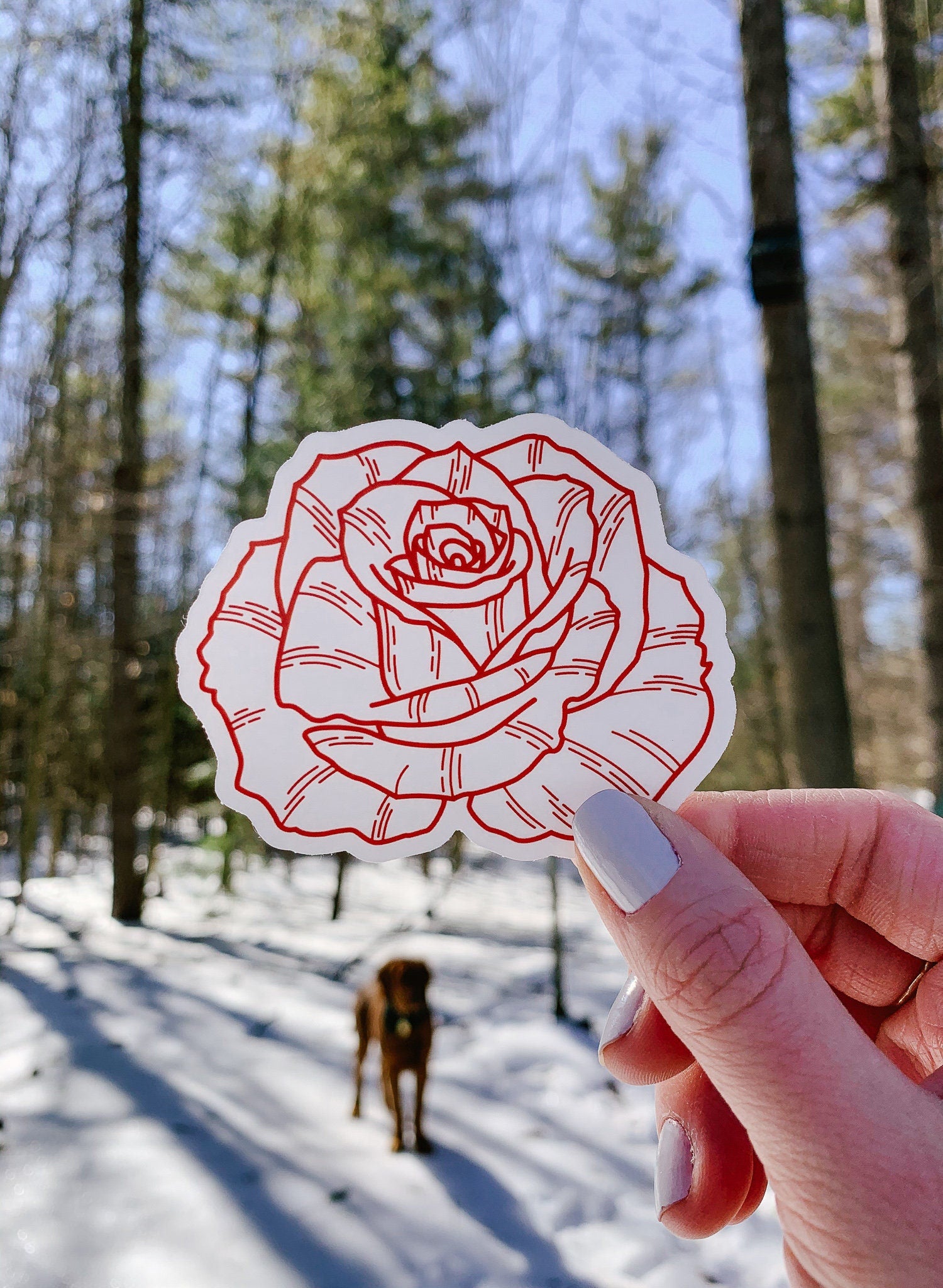 Red Rose Clear Sticker