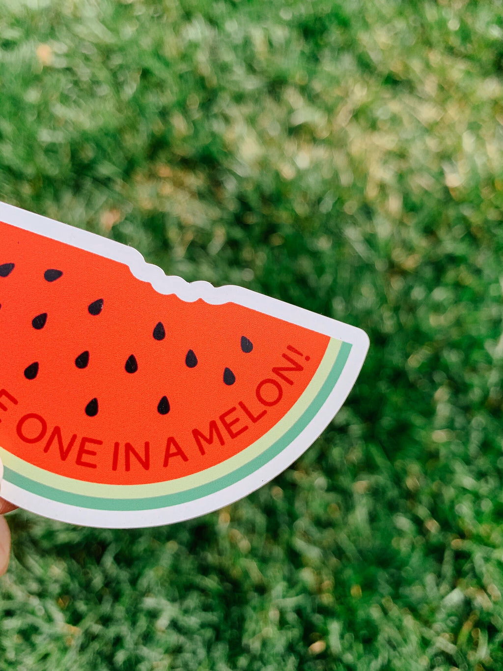 A hand holding a rectangular magnet with a slice of watermelon and the text 'You're one in a melon!' on it, against a grassy background.