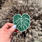A magnet shaped like a Monstera leaf with the text 'LEAF ME ALONE' in the center, placed on a green leaf.