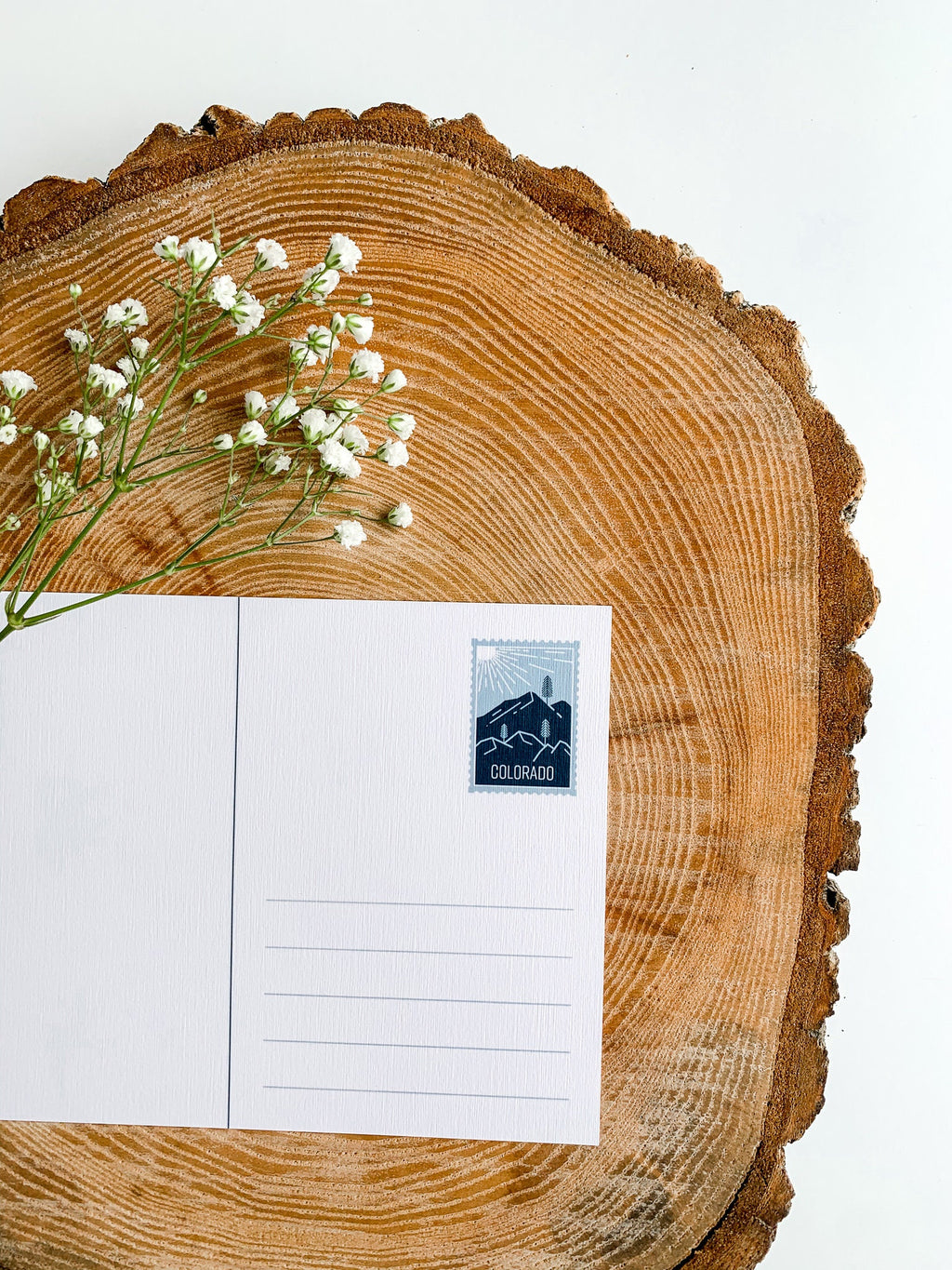 Colorado State Postcard