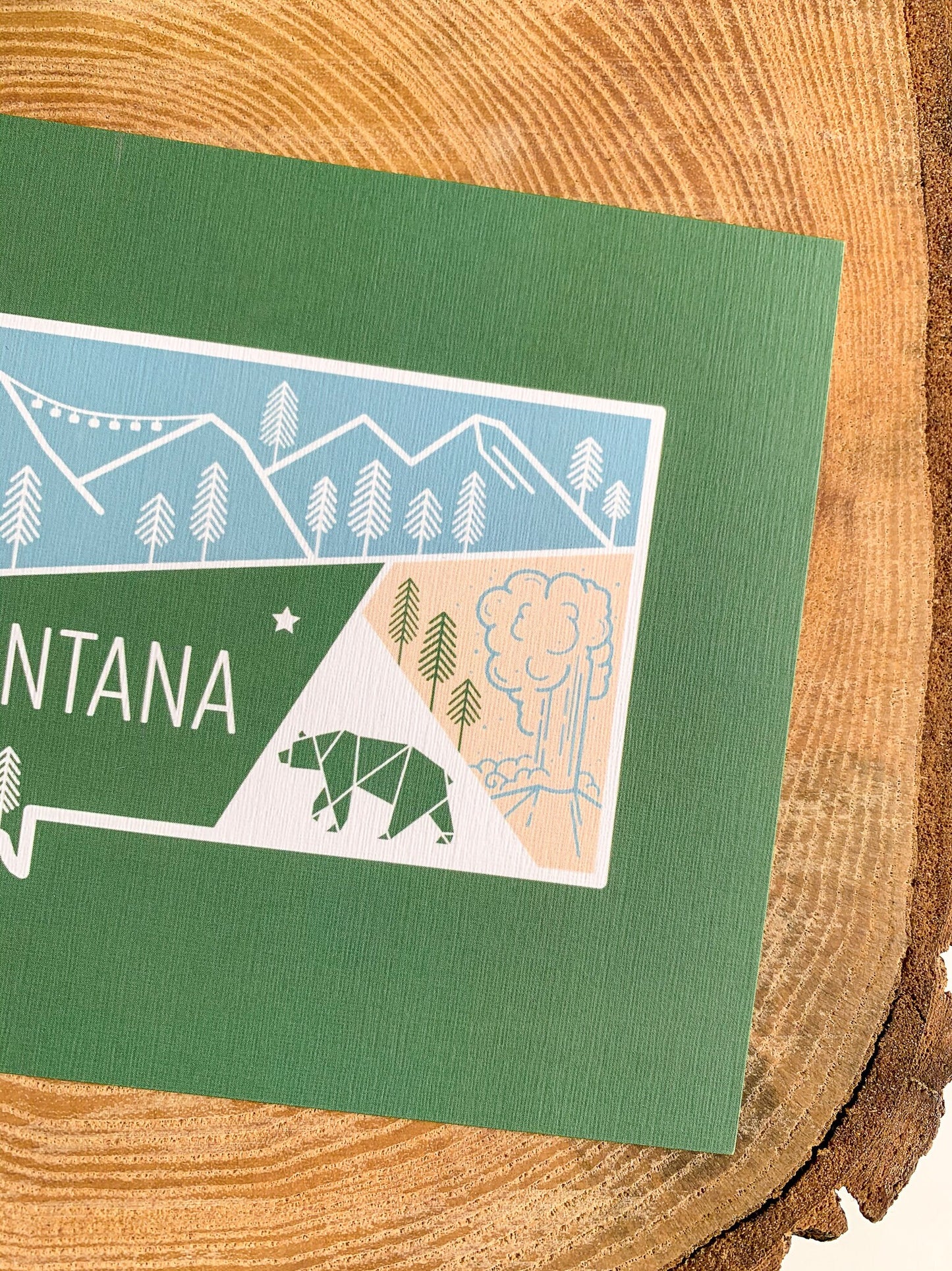 Montana State Postcard