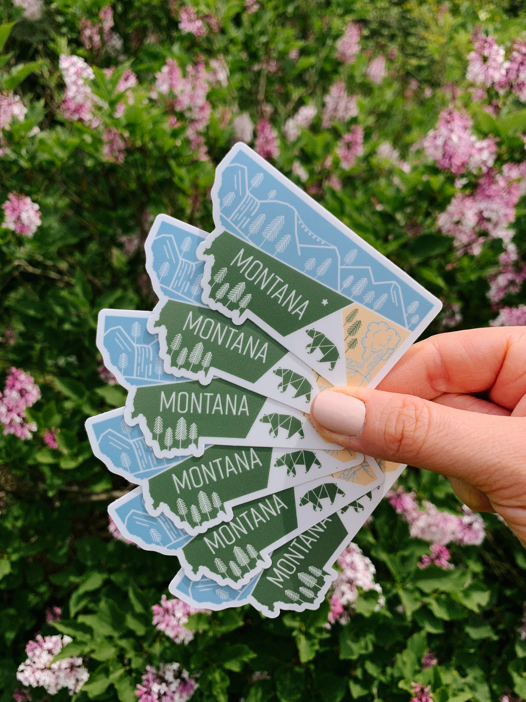 Montana State Sticker