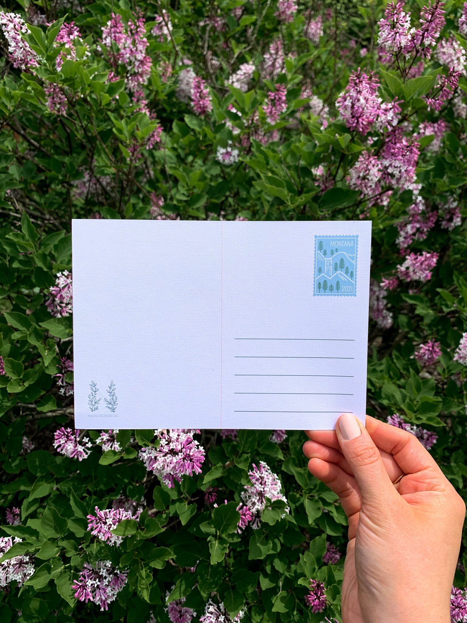 Montana Travel Postcard