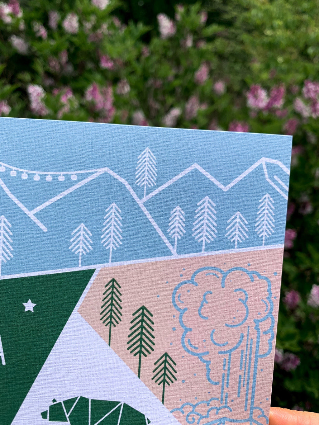 Montana Travel Postcard