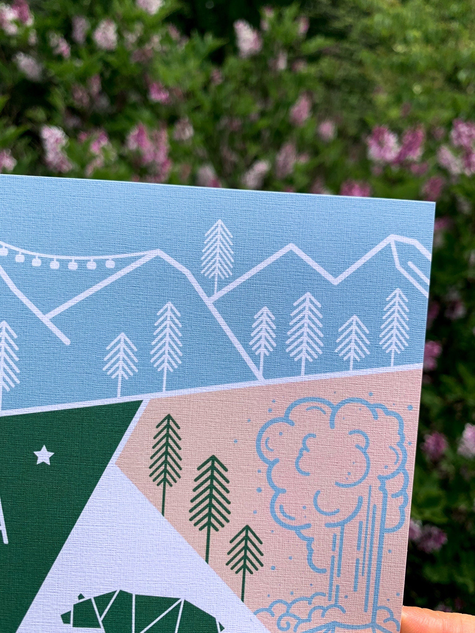 Montana Travel Postcard