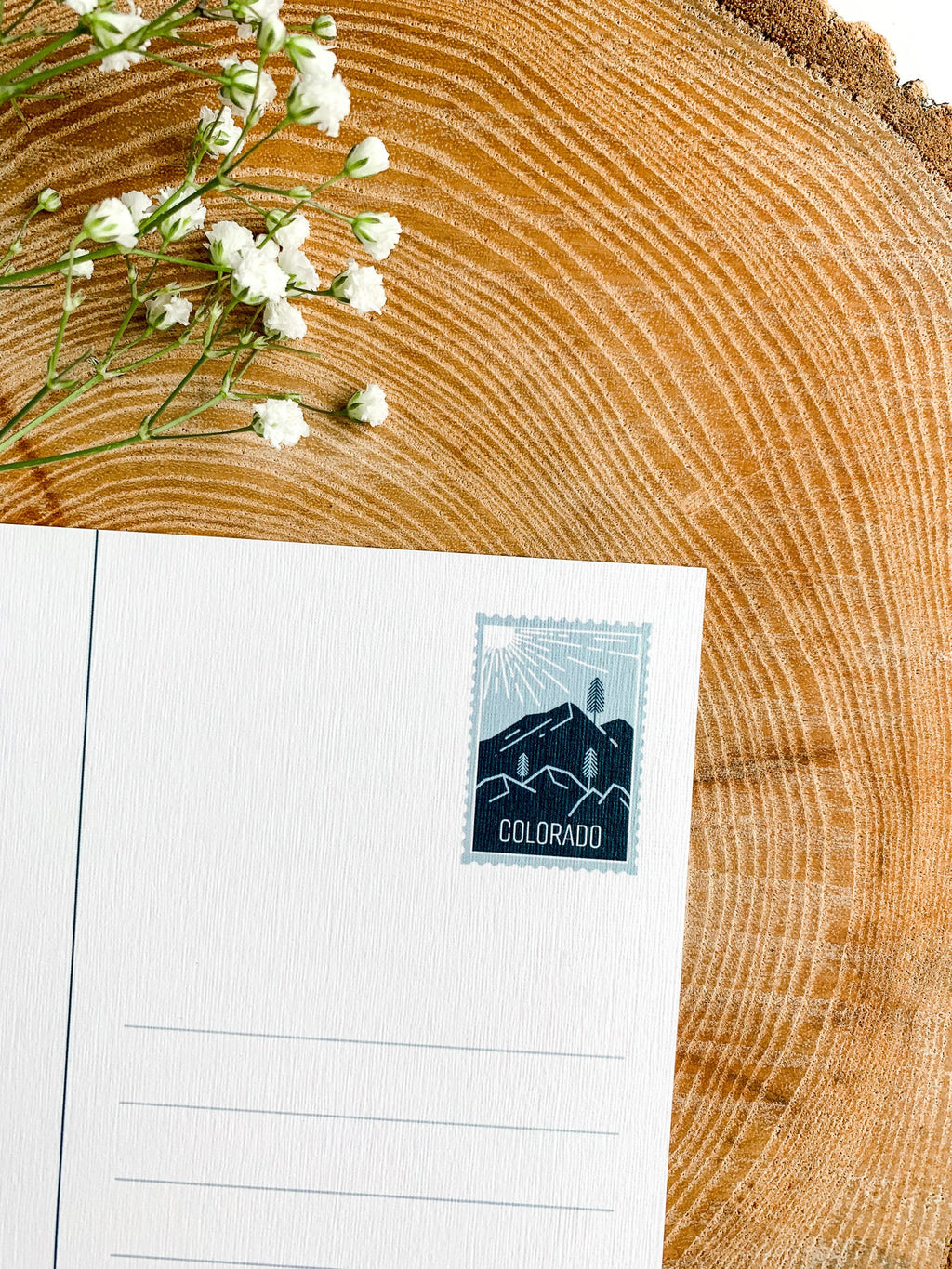 Colorado State Postcard