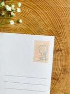 Montana State Postcard