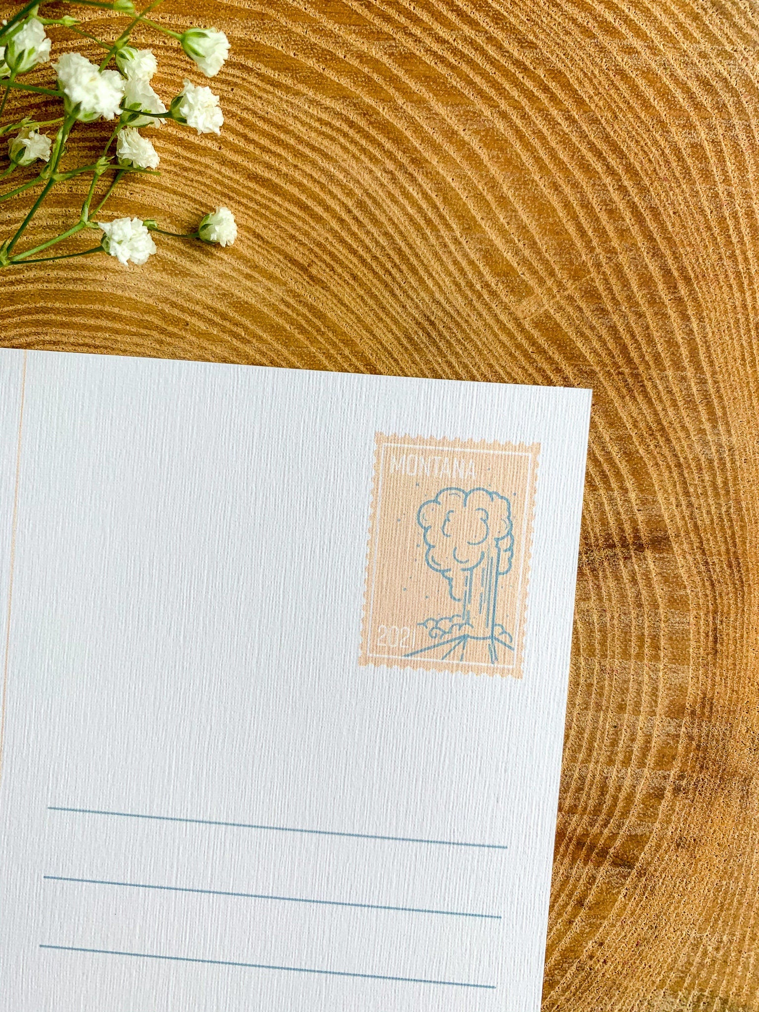 Montana State Postcard