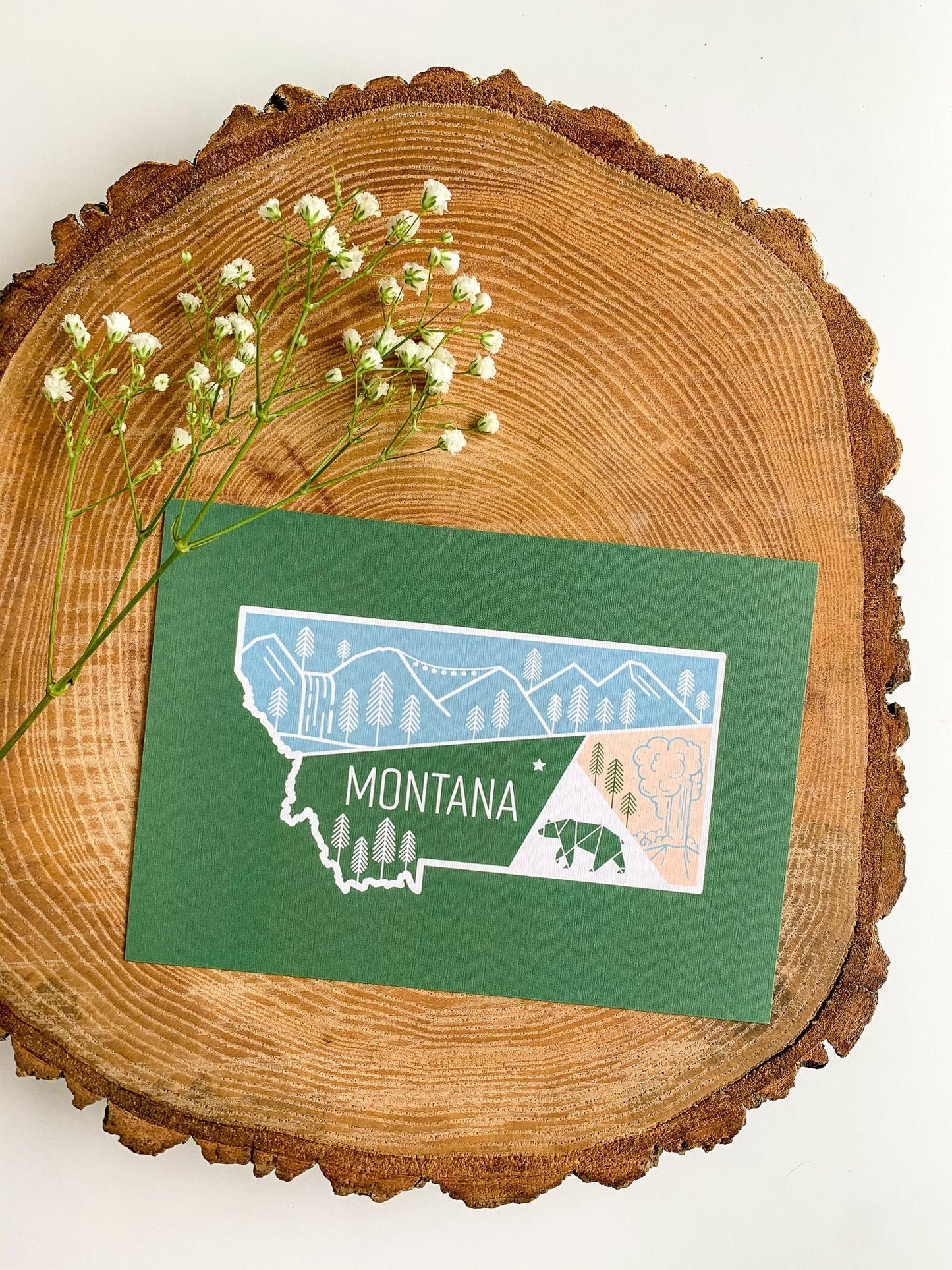 Montana State Postcard