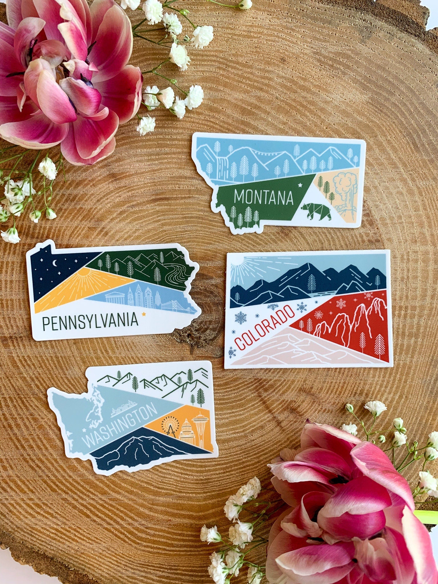 Colorado State Geometric Sticker