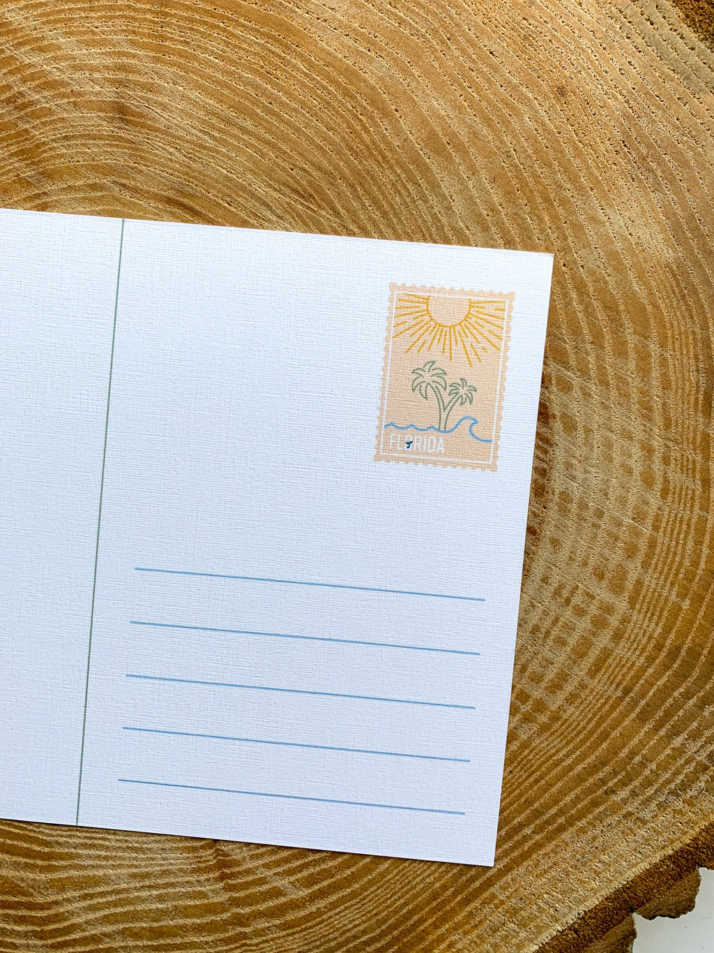 Florida State Postcard