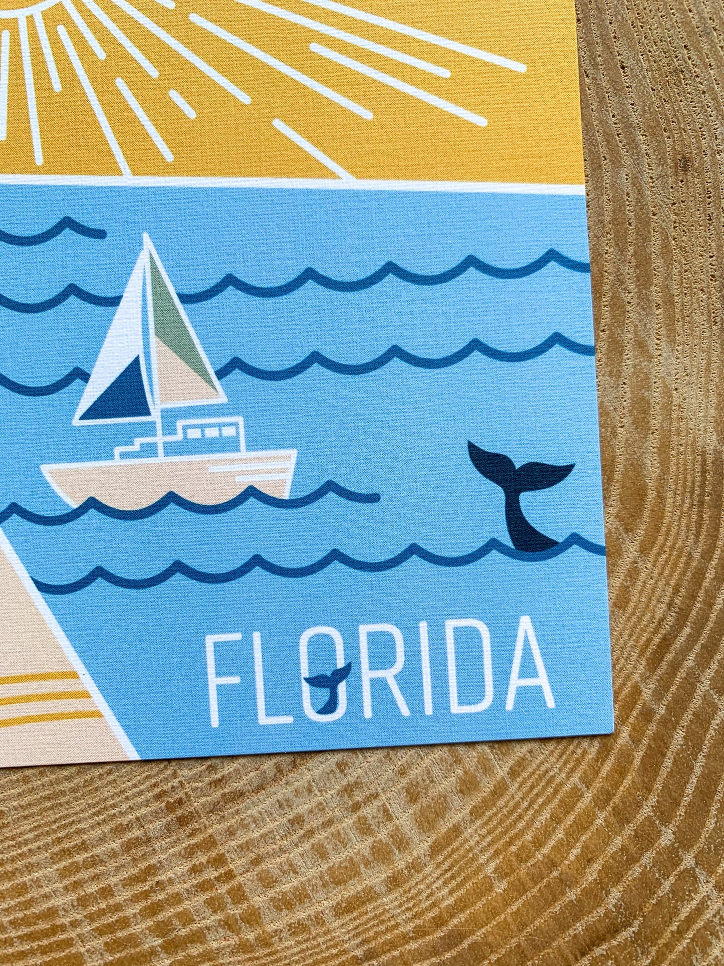 Florida State Geometric Postcard