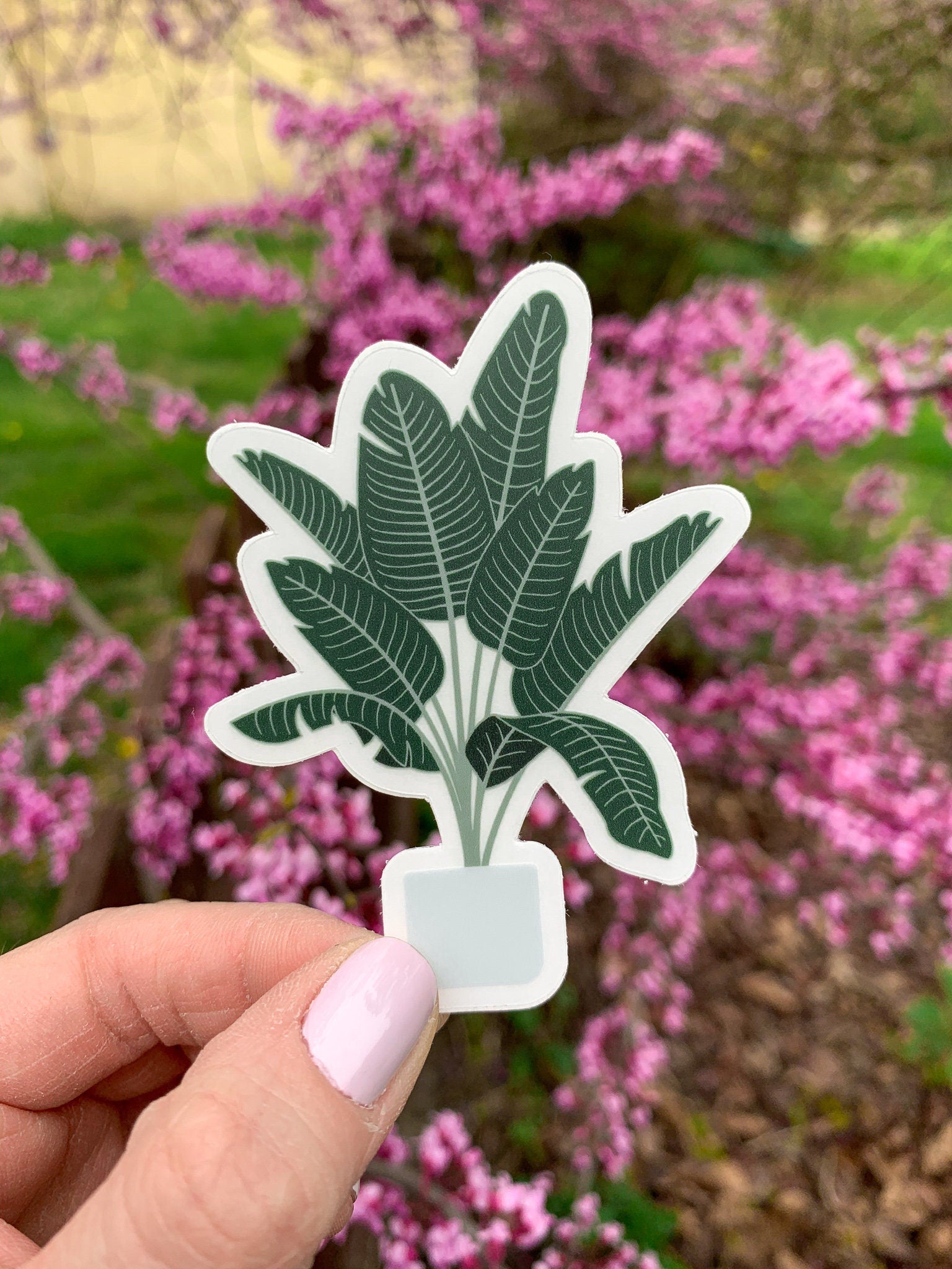 Bird of Paradise Plant Clear Sticker