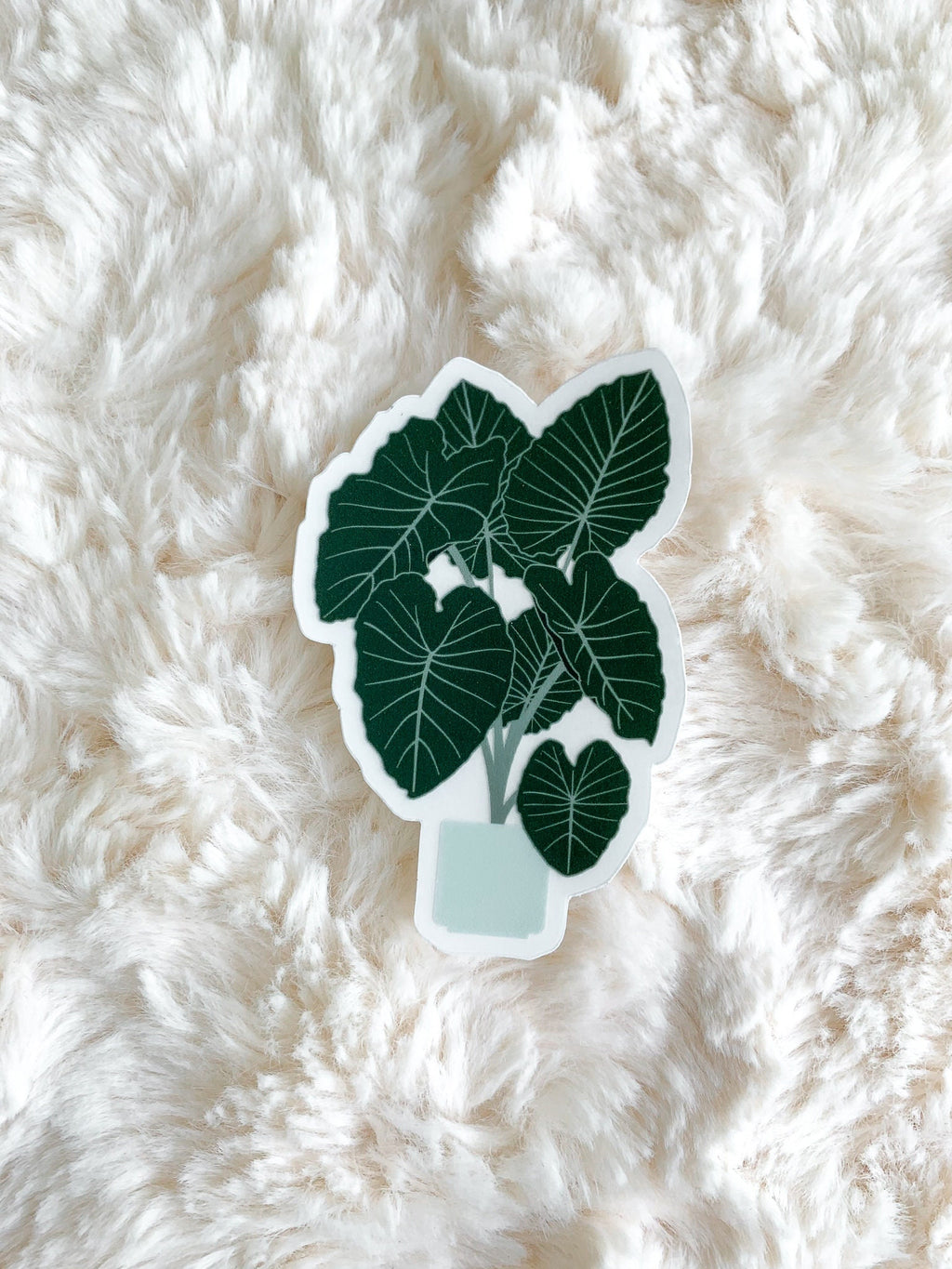 Elephant Ear Tree Clear Sticker