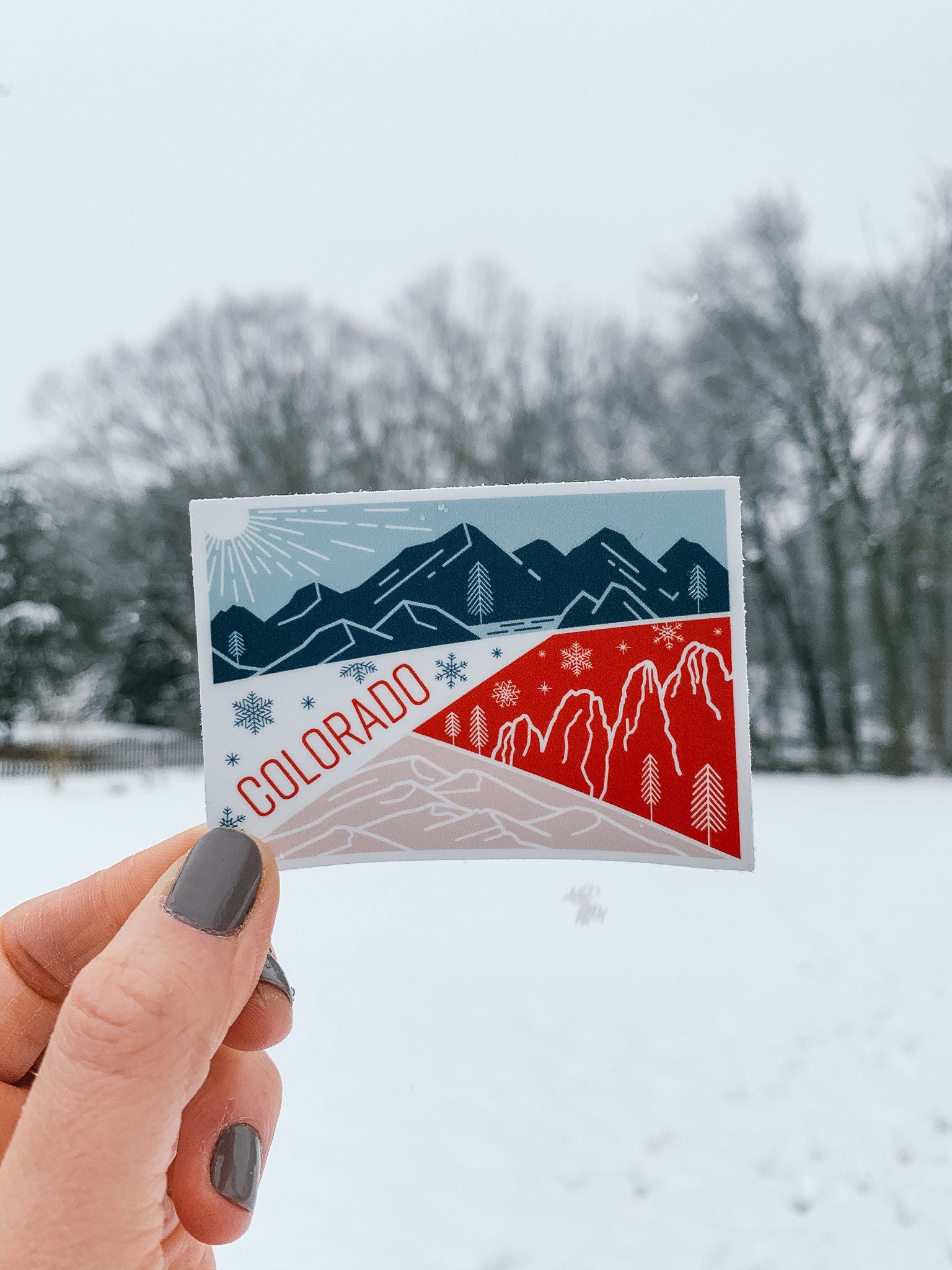 Colorado State Geometric Sticker