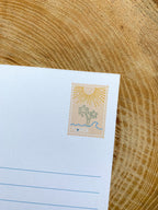 Florida State Postcard