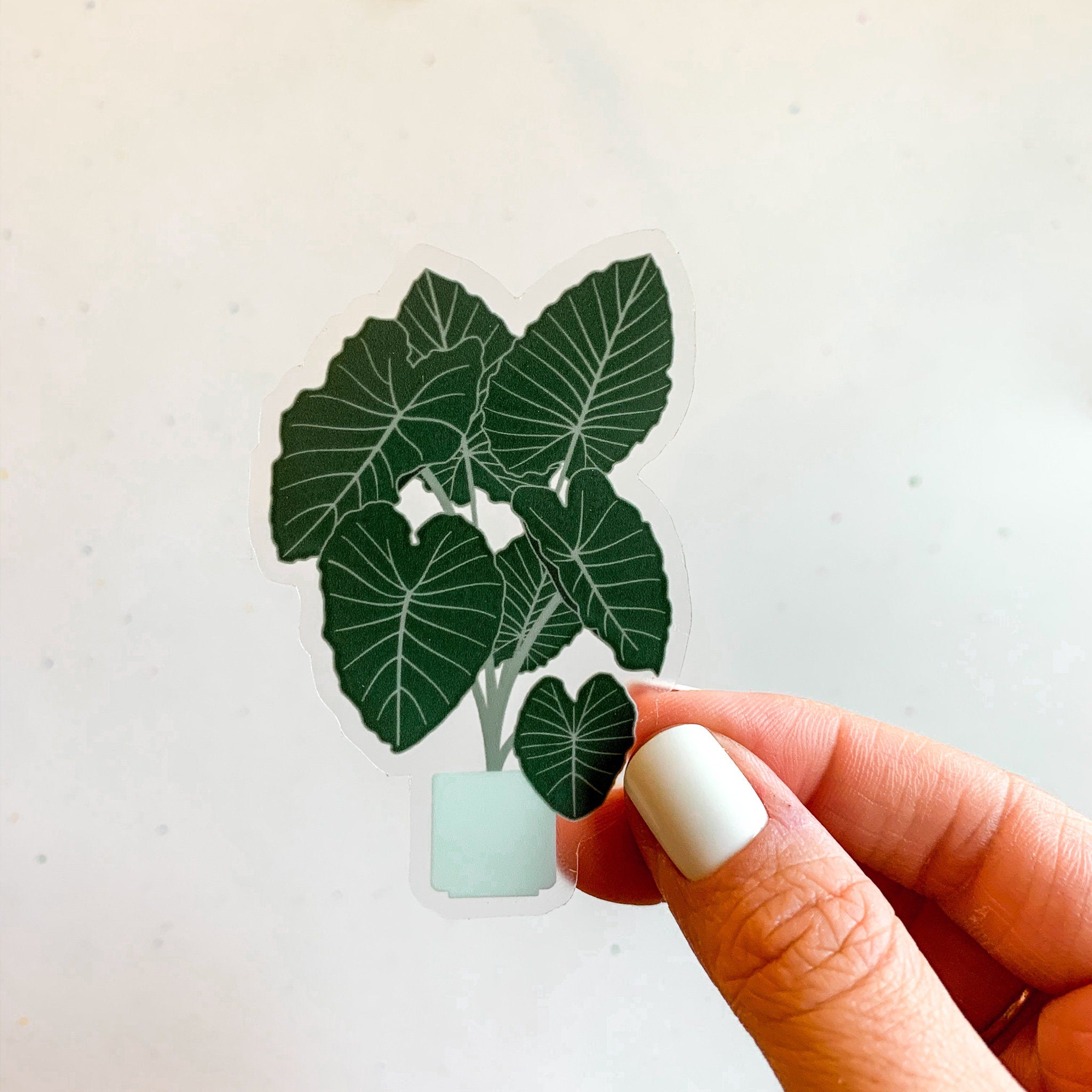 Elephant Ear Tree Clear Sticker