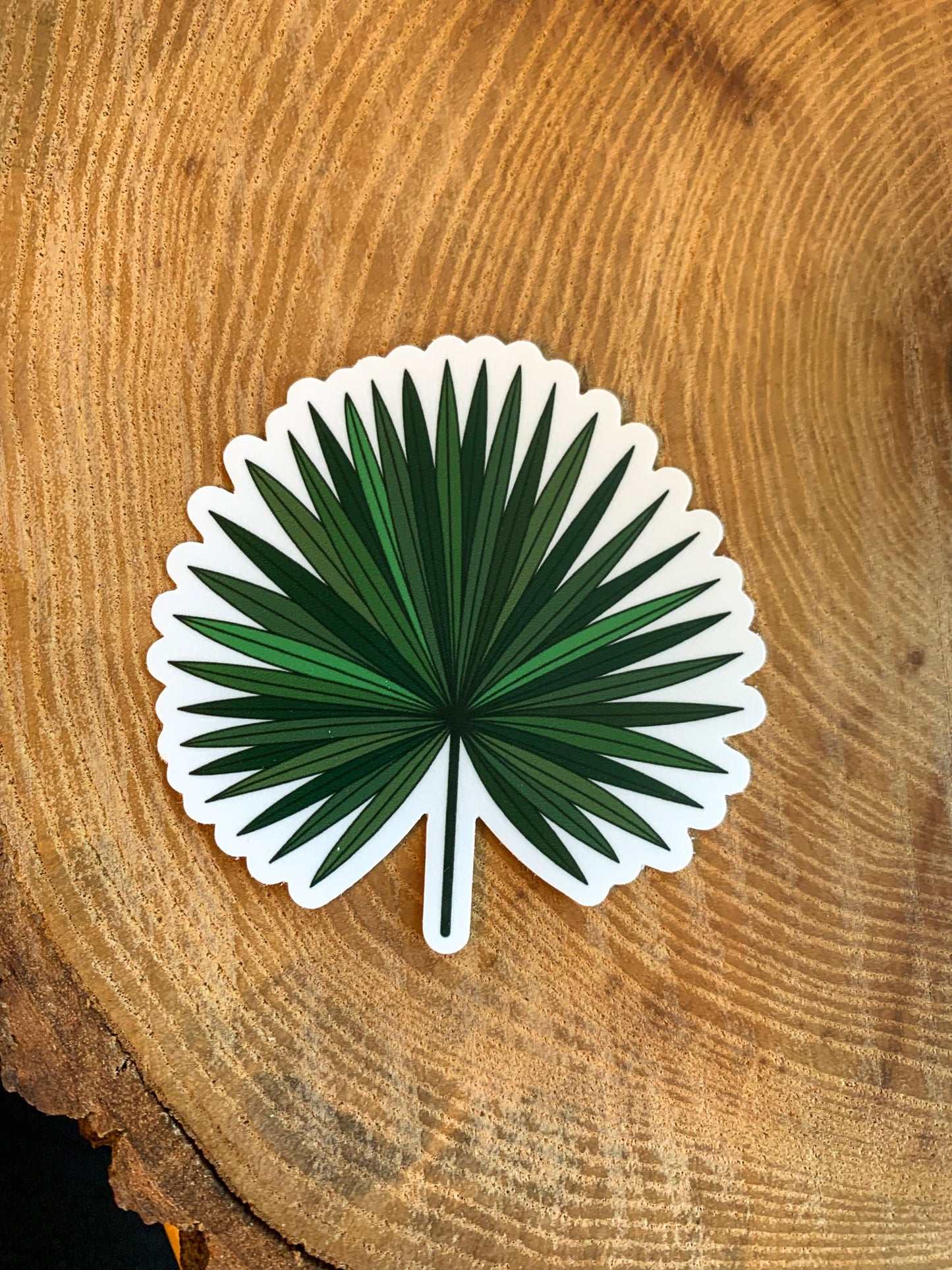 Tropical Fan Palm Leaf Sticker
