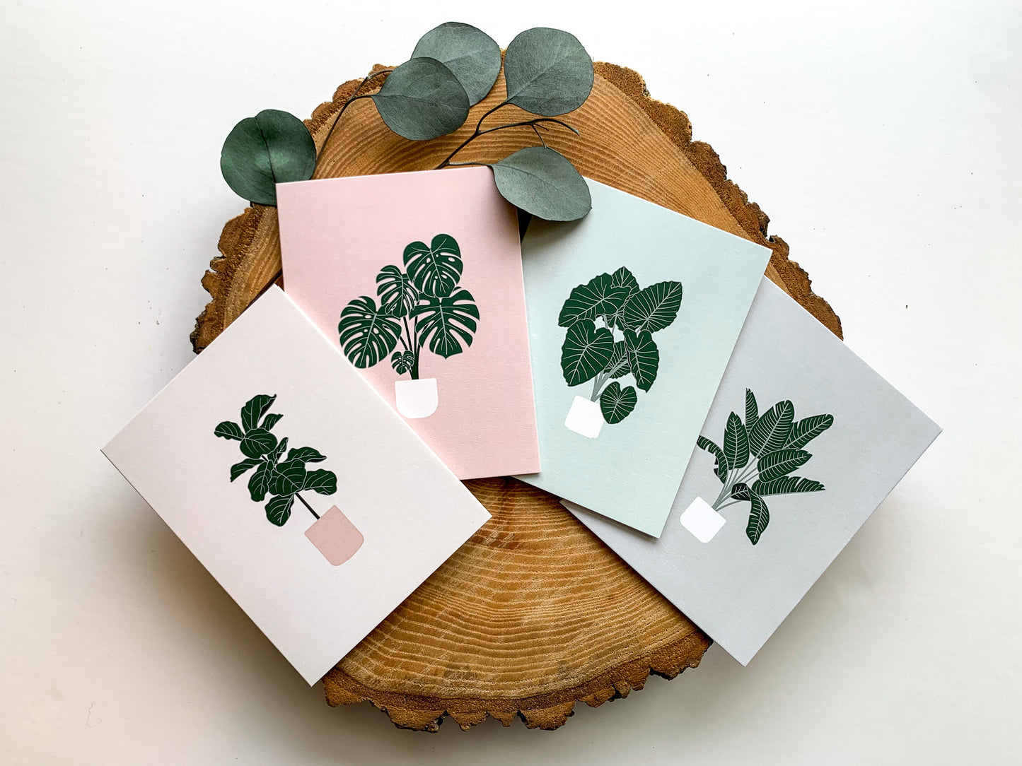 Fiddle Leaf Fig Greeting Card