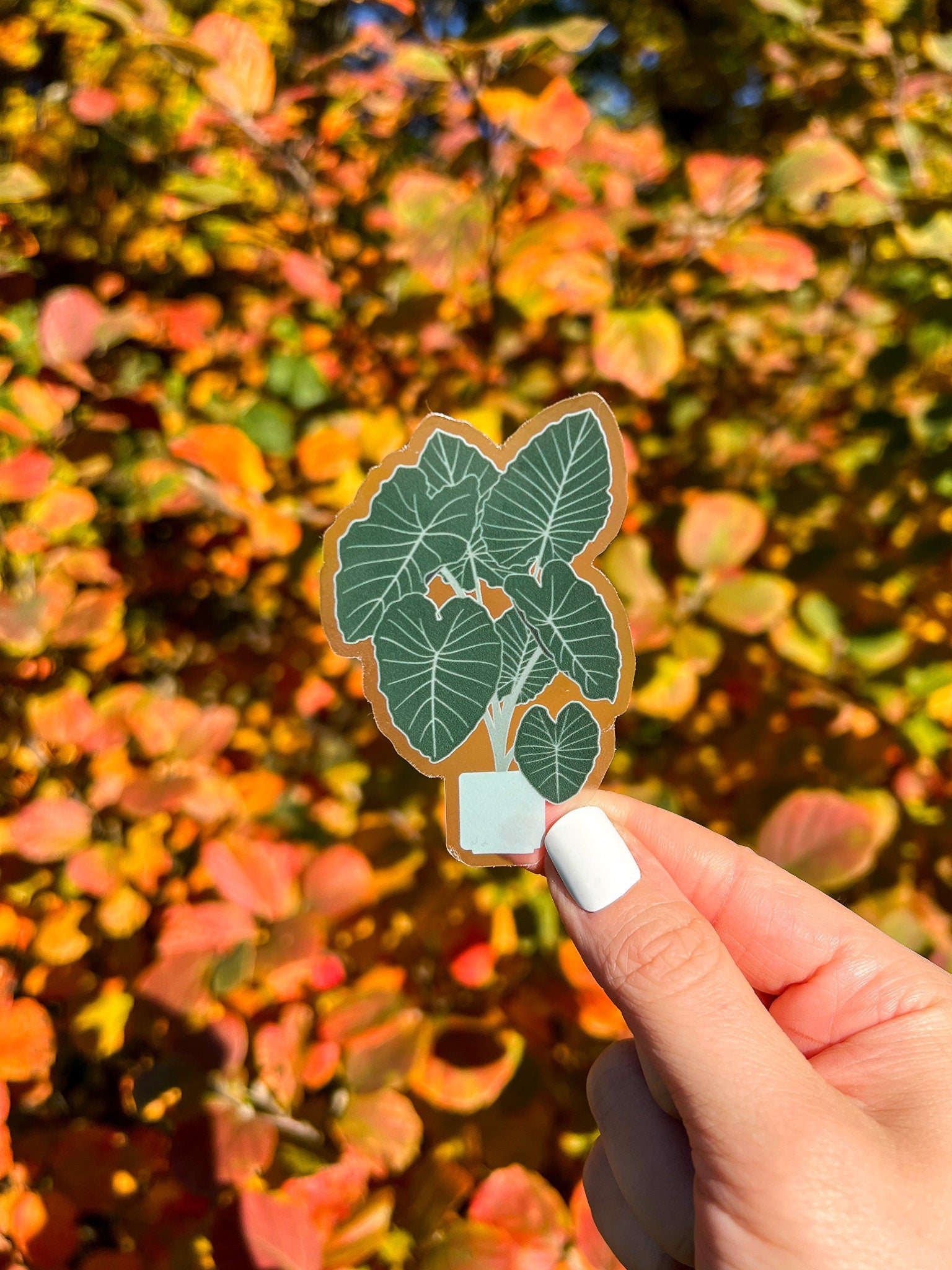 Elephant Ear Tree Clear Sticker
