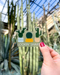 A clear sticker with a pun related to cacti, held against a backdrop of green cacti. The sticker features an illustration of a cactus with the text 'LOOKIN' SHARP'.
