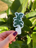 Fiddle Leaf Fig Tree Plant Clear Sticker