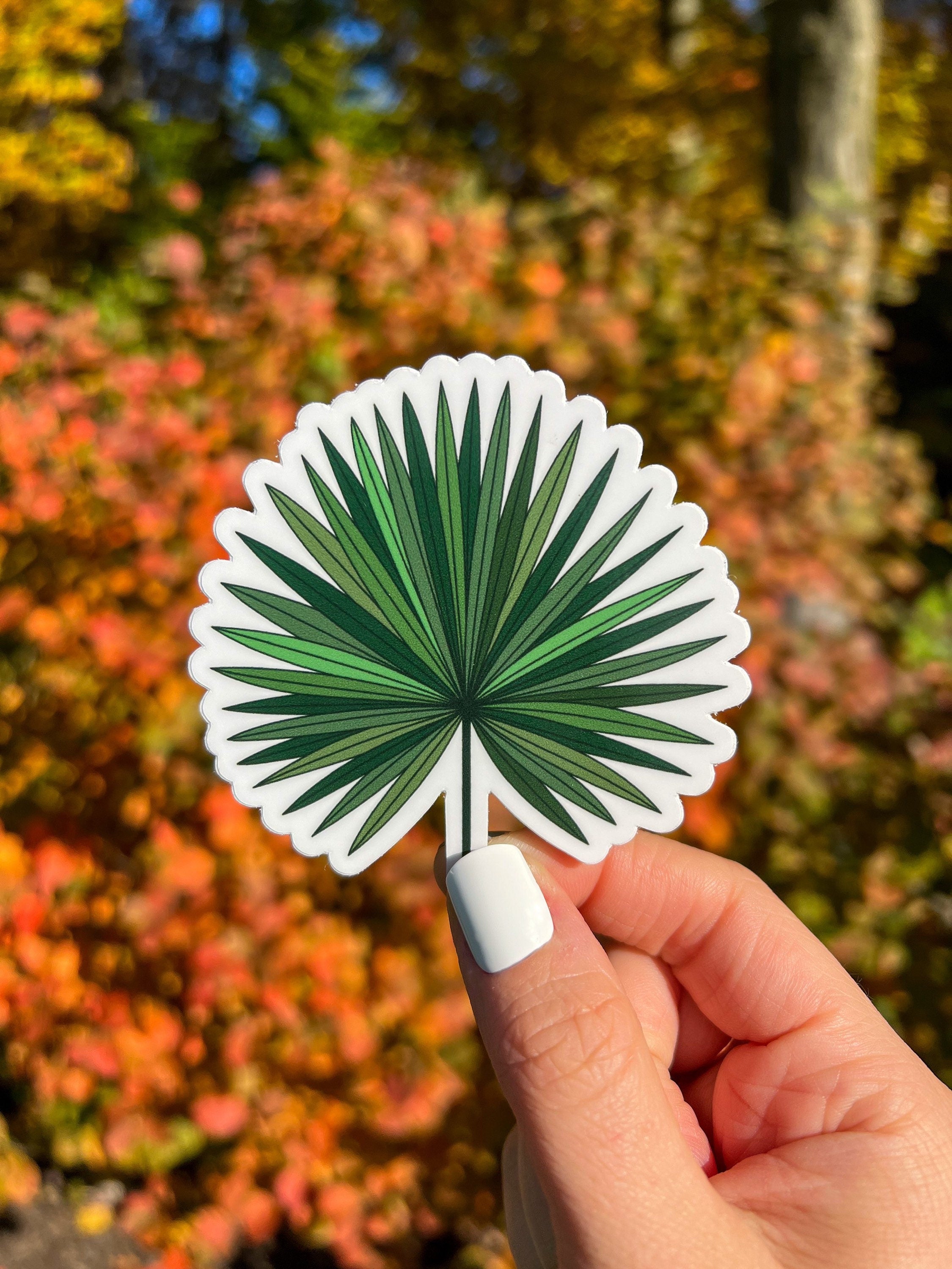 Tropical Fan Palm Leaf Sticker