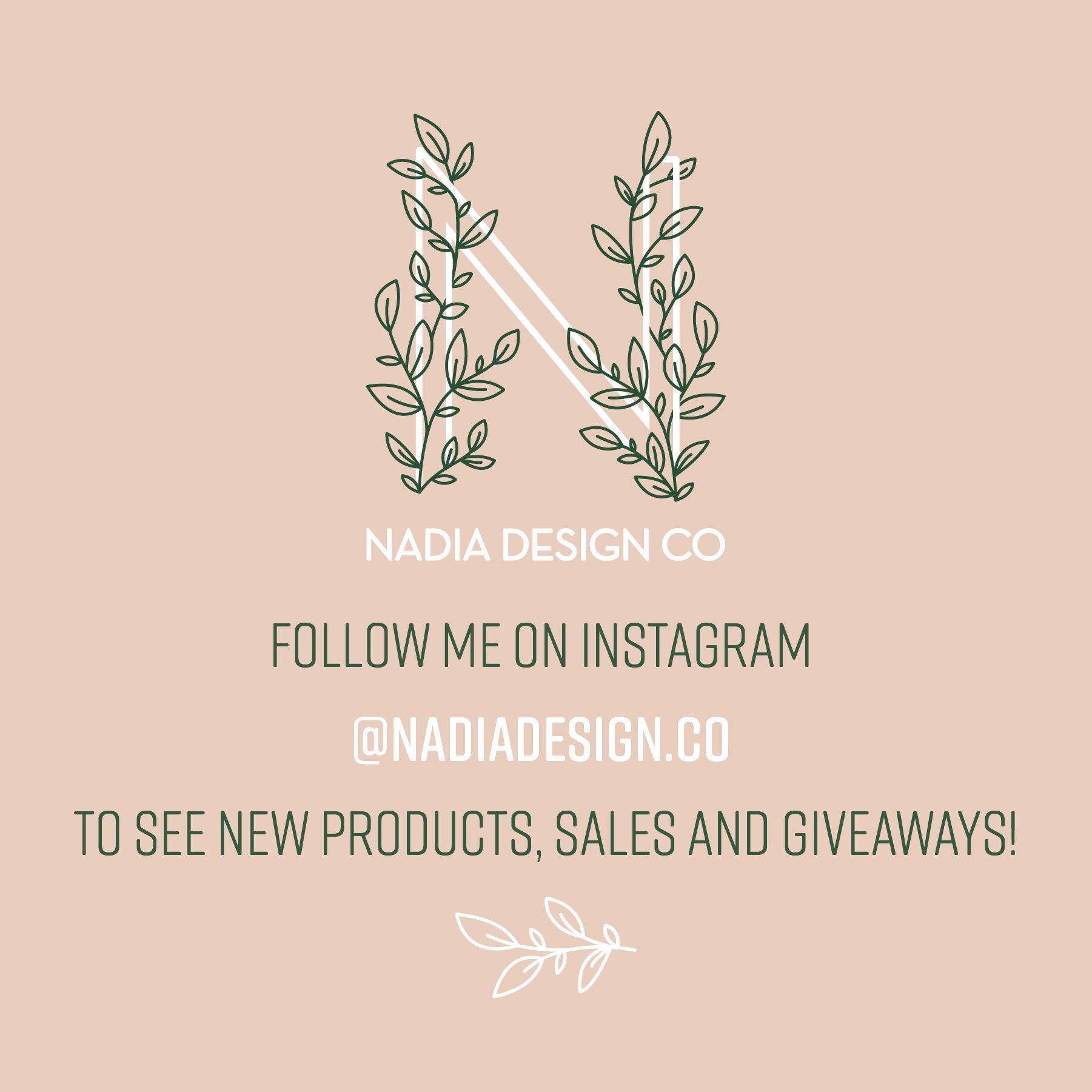 Colorado State Postcard