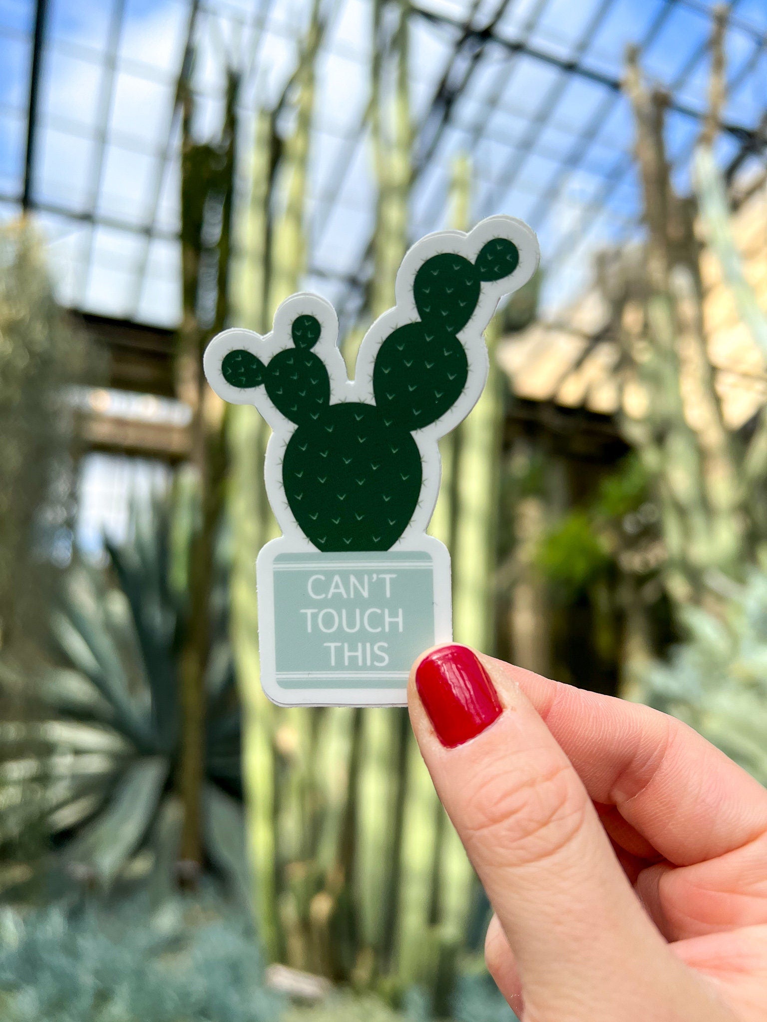 Can't Touch This Cactus Sticker