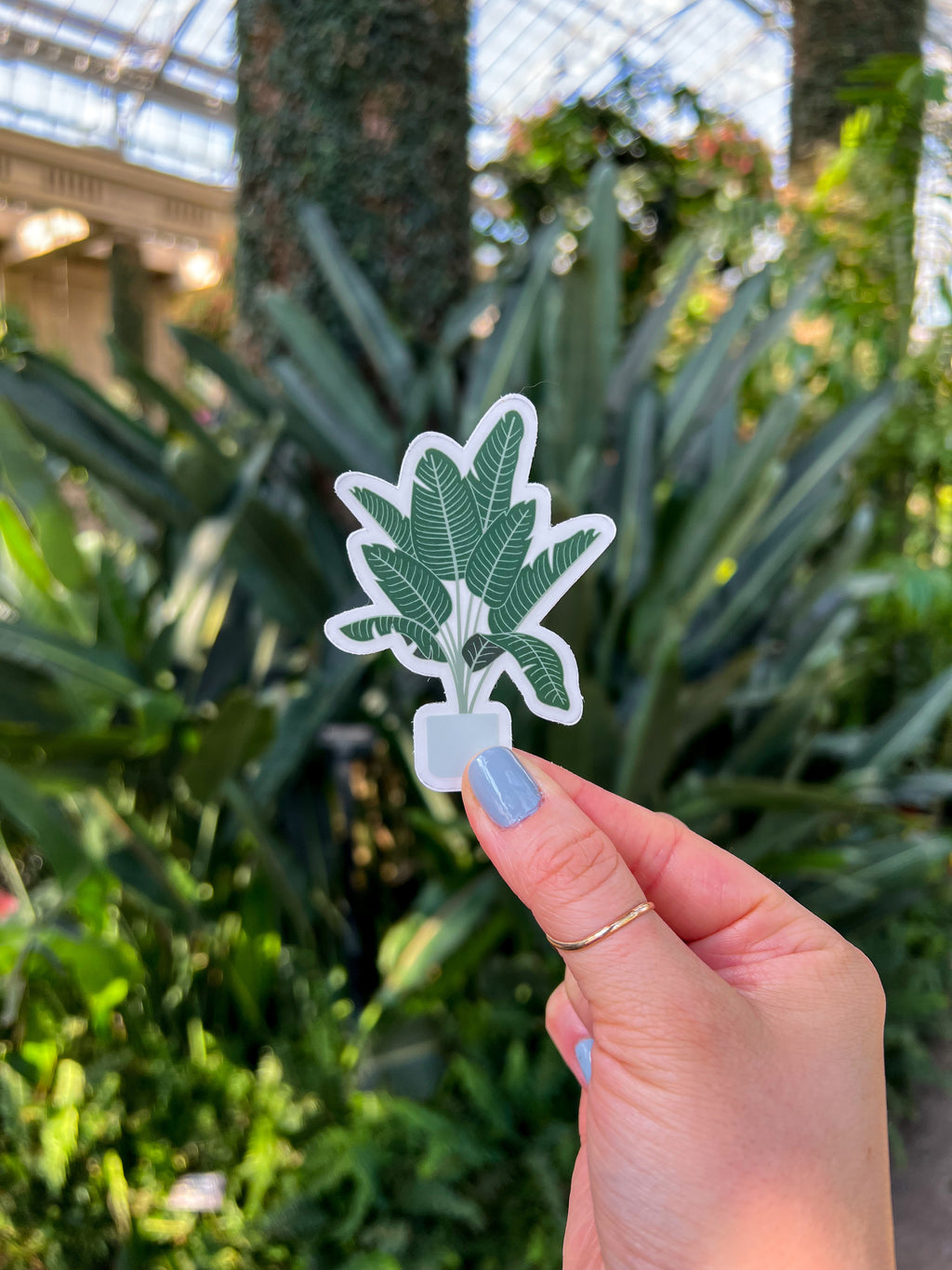 Bird of Paradise Plant Clear Sticker